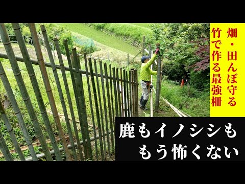園芸 ビジネスと喜びをつなぐフェンス