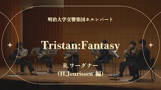Download lagu R. ワーグナー (H. Jeurissen 編) / Tristan: Fantasy mp3 Download lagu R. ワーグナー (H. Jeurissen 編) / Tristan: Fantasy mp3
