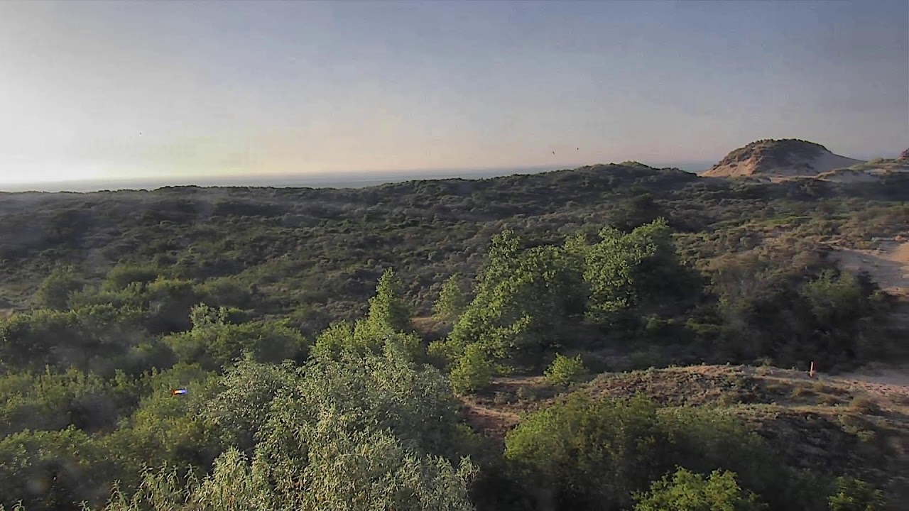 Live webcam view of Duinenhuis Dunes Nature Reserve