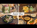 shopping at supermarket and Kaldi, Uniqlo haul, Soba lunch, Miso grilled pork | japan vlog