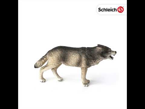 Schleich figūrėlė Vilkas video
