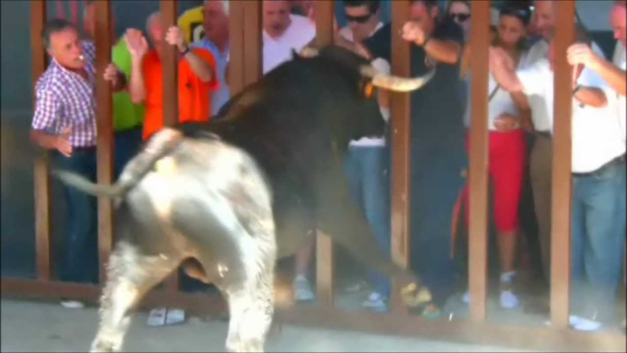 Encierros en Almodovar del Campo 2012