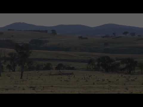 C class on a Pacific National grain train. C507 C506 8178 8155. The Cullerin range. 03 October 2012.
