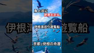 【京都】海に家が並ぶ町へ｜伊根湾めぐり遊覧船と伊根の舟屋　#京都観光 #京都旅行 #伊根の舟屋 #絶景スポット