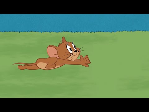 5 minutes of Tom & Jerry chasing each other 😝 | Chase compilation - Boomerang (ch. 302) | DStv