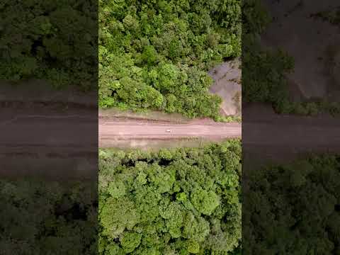 Hoje mais cedo, a caminho de #oiapoque . #amapa #aerial #amazonia #rainforest #drone