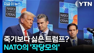 트럼프 만나느니 차라리...나토의 극단적인 결정 [지금이뉴스] / YTN