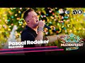 Pascal Redeker - Boerenlul • Muziekfeest op het Plein 2023 // Sterren NL