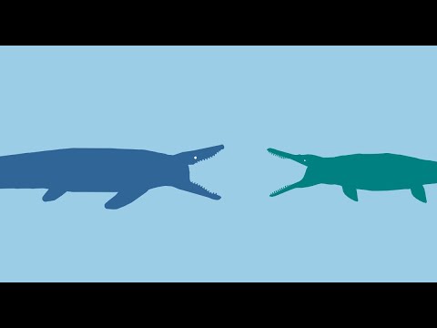 Hainosaurus vs plesiosuchus