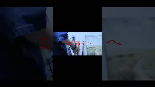 【#老人と海】【#ヨルシカ】【#shorts】【#永久機関】【#幻燈】#ヨルシカ  #幻燈  プロフよりYouTube fullへ飛べます！#初音ミク #anime  #hatsunemiku