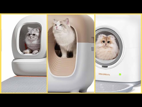 Top 3 des litières autonettoyantes 2024 : mon comparatif