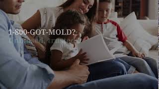 1-800-GOT-MOLD?