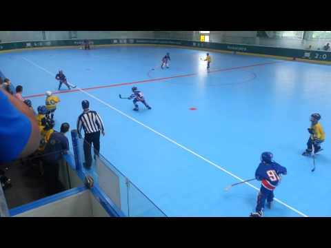 Berounští medvědi vs Hořovice (3. zápas)