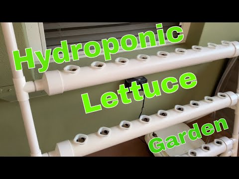Hydroponic Grow Kit from EBAY | Full Assembly