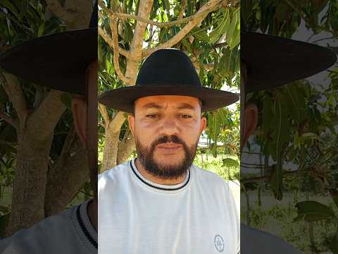 vendo barato e parcelado com 2 casas em bodoco pe hectares