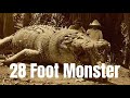 Largest Crocodile Killed Krys The Savannah King