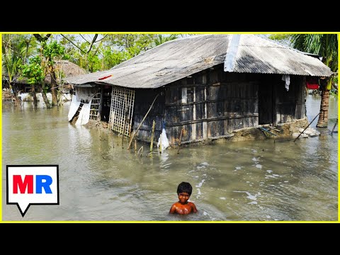 Media Has HUGE Geographic Blind Spot On Climate Change w/Mark Hertsgaard