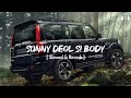 Sunny Deol Si Body Re ( Slowed & Reverb ) Raju Punjabi | Choudhar Jaat Ki Latest Haryanvi song #new