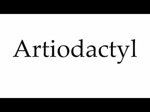 How to Pronounce Artiodactyl
