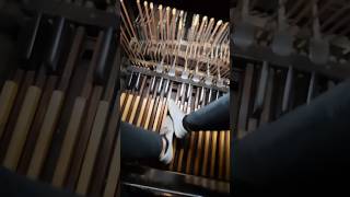 Download lagu Playing the Organ at St. Patricks Old Cathedral in Manhattan #music #organ #church mp3