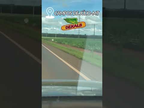 BR de Campos de Júlio MT com essa visào