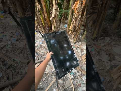 Menemukan Tv Led Dan Jam Tangan Di Tempat Sampah #nemu #menemukan #restorasi #tv #jamtangan