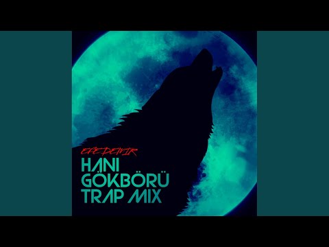 Hani Gökbörü (Trap mix)