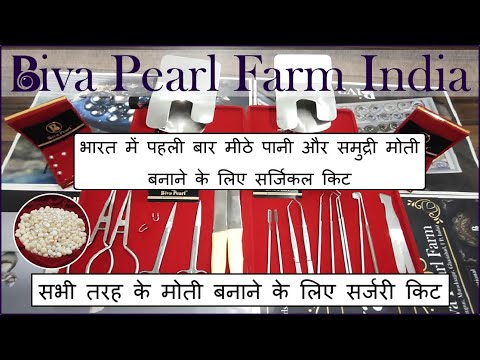 Pearl farming surgical instruments