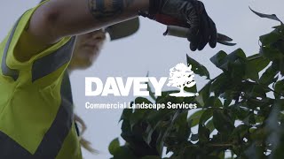 Streamline Your Commercial Grounds Maintenance