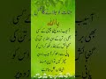 Jinaat Ko Jalane Ka Wazifa Short Urduwazaif Wazifa