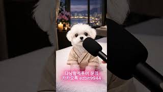 다낭황제투어 황제투어와서 럭셔리마사지받으러온 다낭이~2026 03 01#풀빌라,#다낭황제투어,#황제투어,#남…