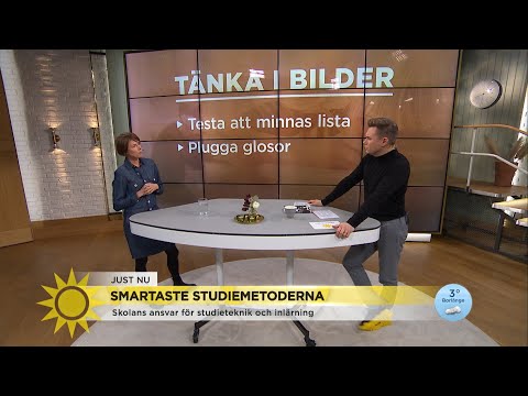Så pluggar du mer effektivt – och minns det du lärt dig - Nyhetsmorgon (TV4)