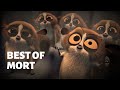 Best Of Mort Madagascar