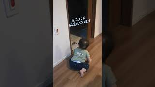 【1才目前】ハイハイをしない息子の移動方法