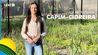 Miniatura do vídeo