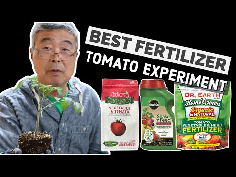 , title : 'Comparing 3 Tomato Fertilizers Experiment | Dr. Earth | Miracle Gro Shake n Feed | Jobes'