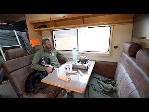 Camping In Van With Dog In Forest