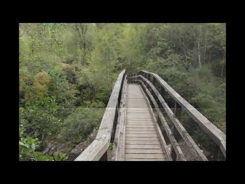 So Ham Meditation - 1 hour (no music)