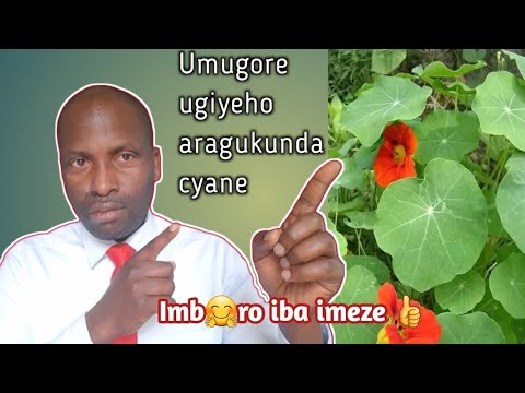 UMUTI UKUZA IGITSINA CY'UMUGABO KANDI VUBA NDETSE NTA NGARUKA  BIMUGIRAHO