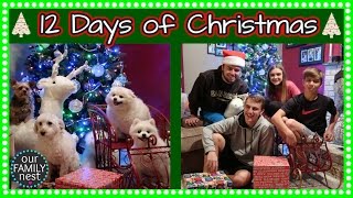 EXCITING 12 DAYS OF CHRISTMAS ANNOUNCEMENT!