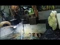 DJ Sholawat Enak Didengar TERBARU 2025 AL QOLBU MUTAYYAM X BUSYROLANA Sholawat Djsholawat