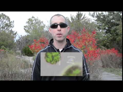 15 Second Science - The air that you breathe