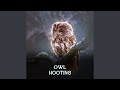 Owl Hooting