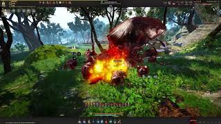 Black Desert Online - Skill Exp/Skill Points Farming in Polly Forest // Rotation