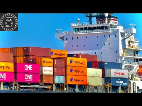 4K Port of Los Angeles SHIPSPOTTING - July 2024