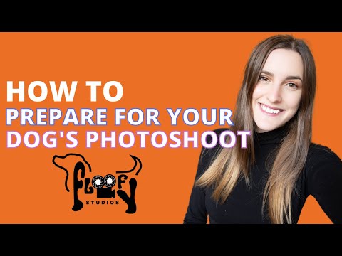 HOW TO: Prepare for your dog's photoshoot!