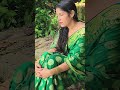Sadabahar Gane ️ ️ Song Hindisong Nature 🫶🫶