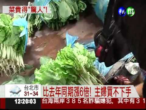 比去年同期漲6倍! 小白菜沒人買
