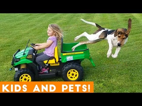 funny animals for kids Mp4 3GP Video & Mp3 Download unlimited Videos  Download 