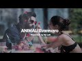Evarevaro Slowed Reverb ANIMAL Xc Lofi